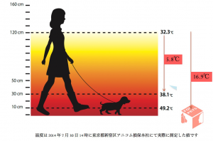 犬の熱中症対策