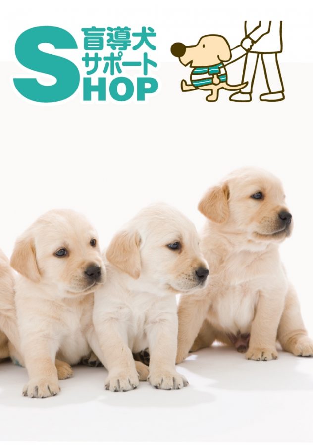 盲導犬サポートの画像