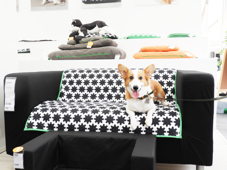 IKEAのペット用品シリーズ「ルールヴィグ」のソファカバーとコルク