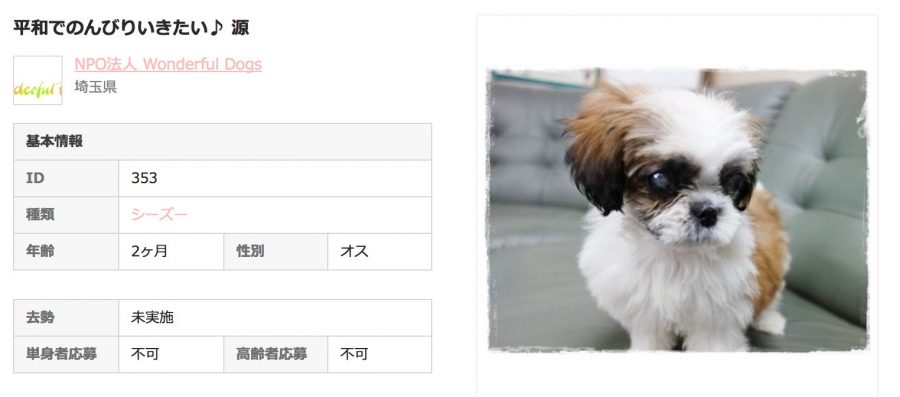 OMUSUBI保護犬情報
