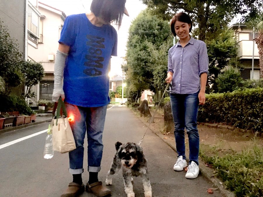 元保護犬のシルバくん 家族でお散歩