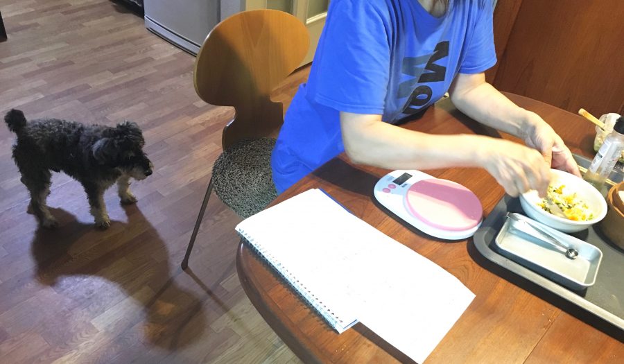 犬用の手作りご飯を待つ元保護犬のシルバ