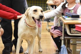 犬を通して「他者」の命に思いを寄せてほしかった――立教女学院小学校、16年目の動物介在教育