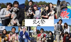 20180306_higeinu_ni_001