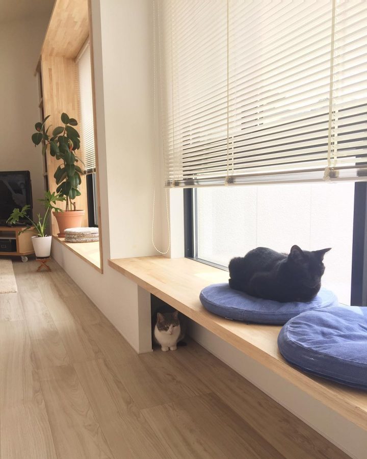 ベンチの上にいる猫と下にいる猫