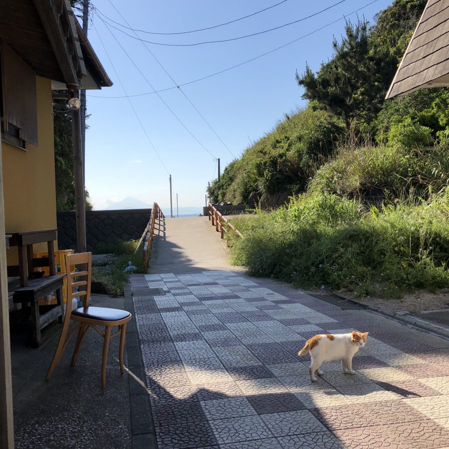 20180706_kuromame_sy_006