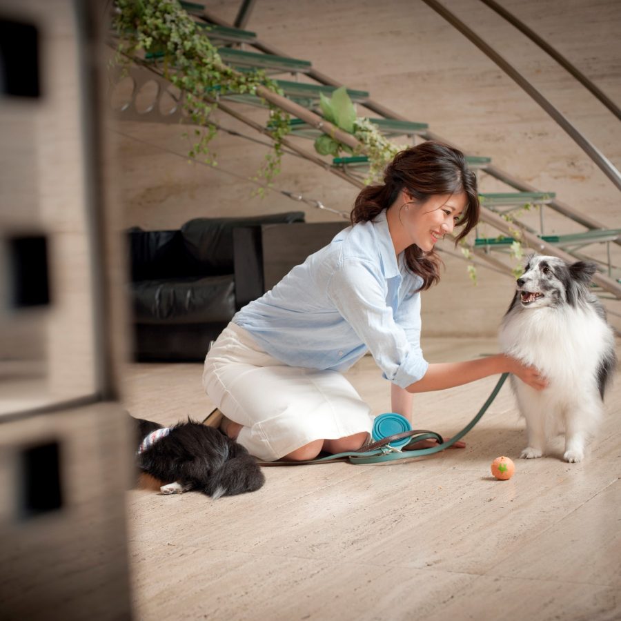 20180714.petwedding_sy_002