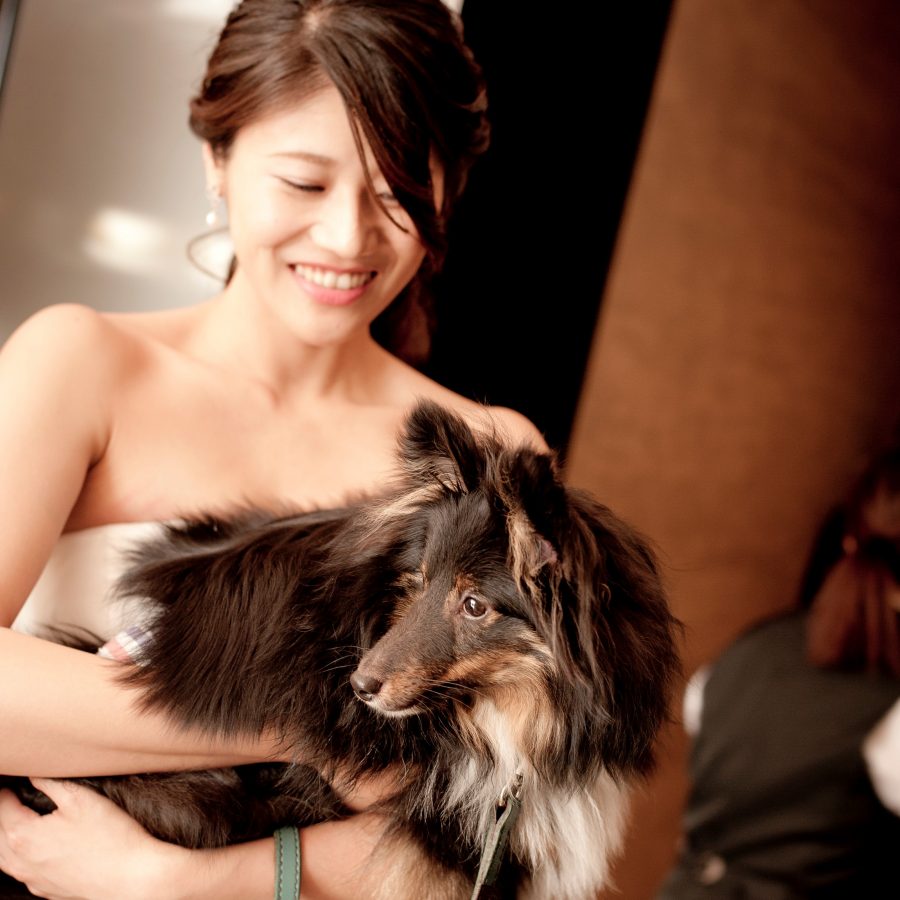 20180714.petwedding_sy_005