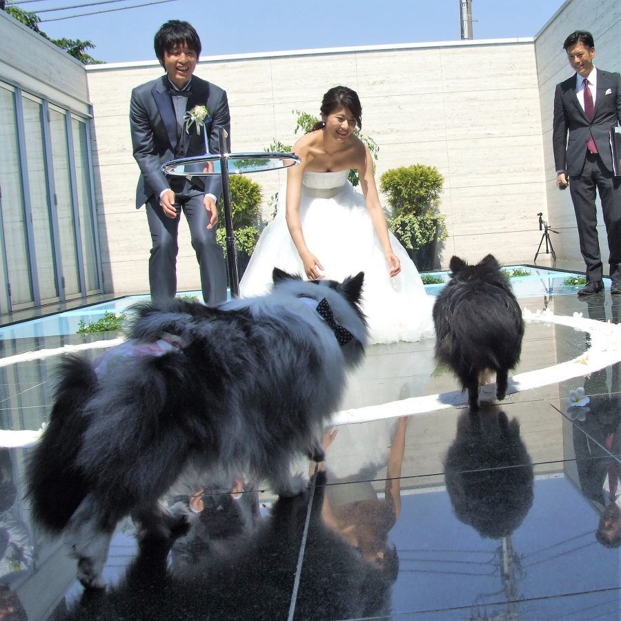20180714.petwedding_sy_010