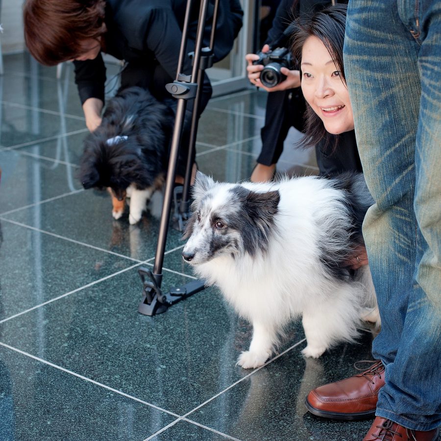 20180714.petwedding_sy_009