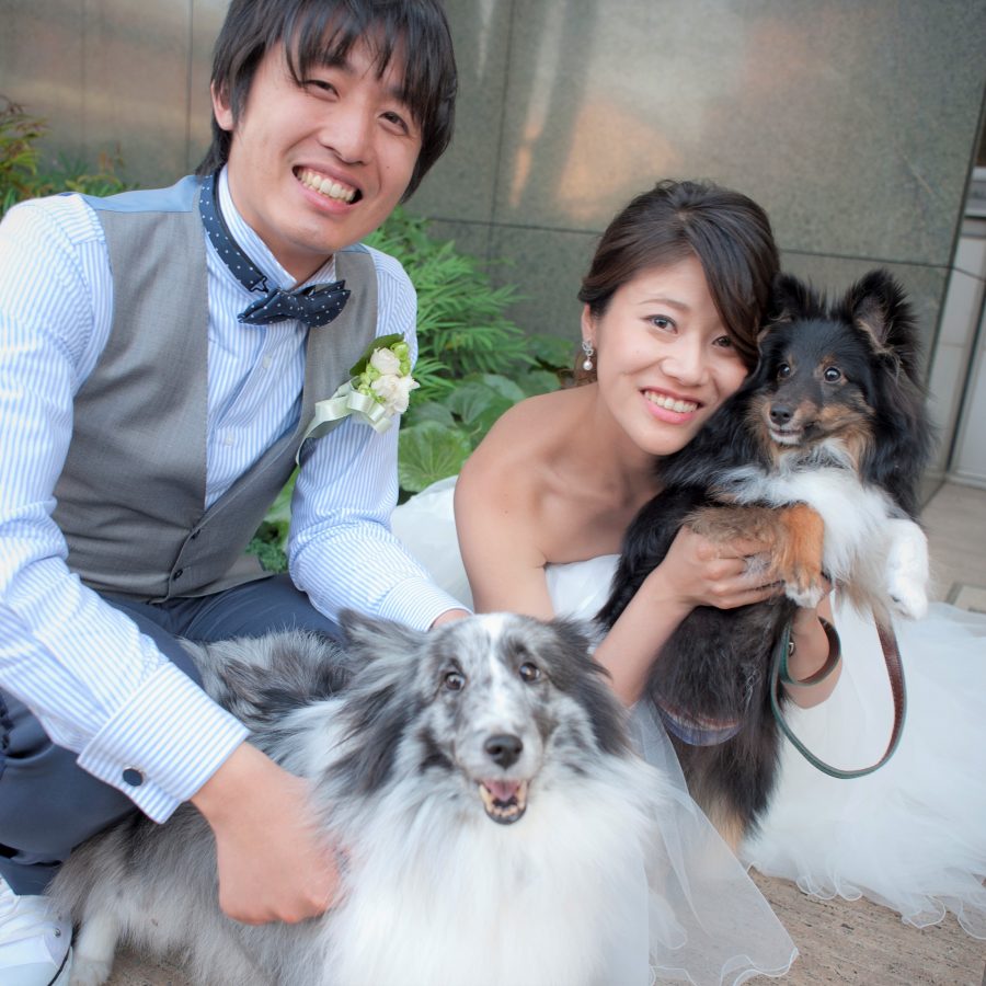 20180714.petwedding_sy_013