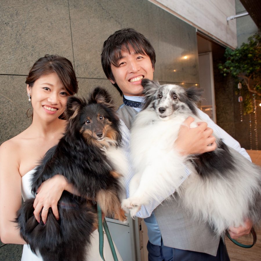 20180714.petwedding_sy_016