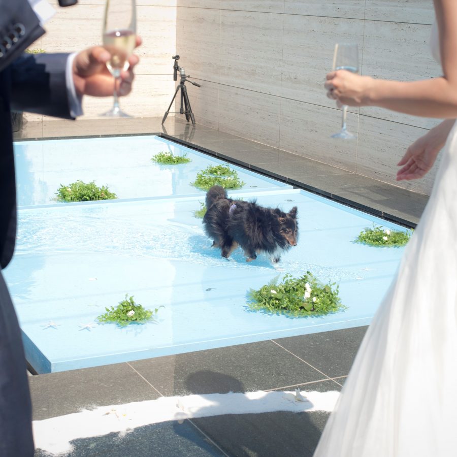 20180714.petwedding_sy_020
