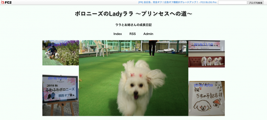 ボロニーズブログ1