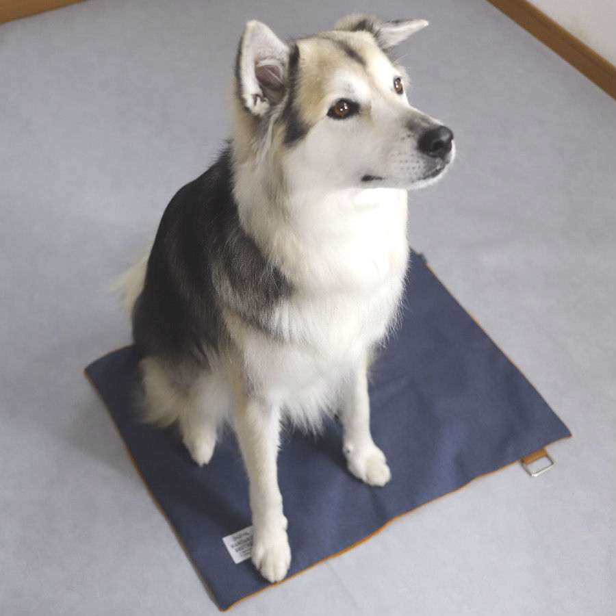 mat
