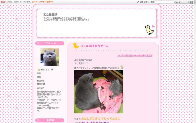 ブリティッシュショートヘアのブログ「ぶりお!ぶりお!」