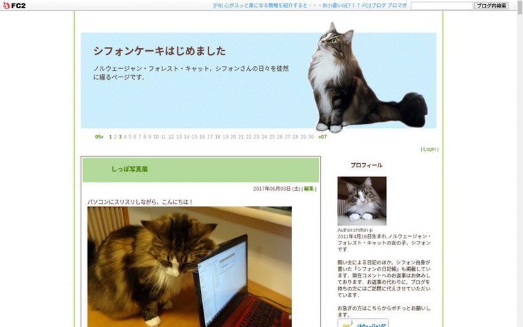 ノルウェージャンフォレストキャットのブログ「シフォンケーキはじめました」のトップページ