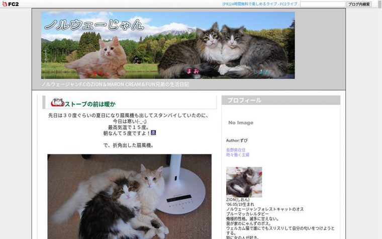 ノルウェージャンフォレストキャットのブログ「ノルウェーじゃん」のトップページ