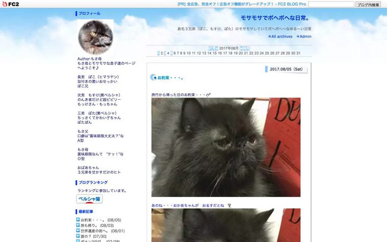 ペルシャ猫のブログ