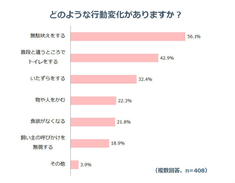 散歩にいけないことで犬の行動はどう変わるか