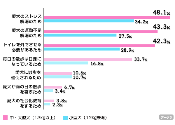 雨の日の犬の散歩に行く理由