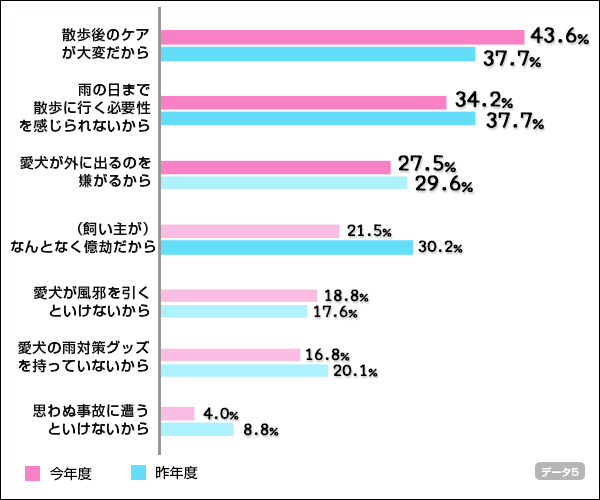 雨の日の犬の散歩に行かない理由