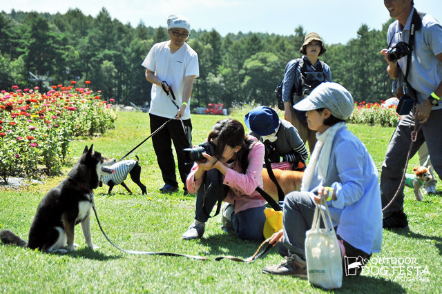 アウトドア ドッグフェスタin八ヶ岳で写真撮影している様子