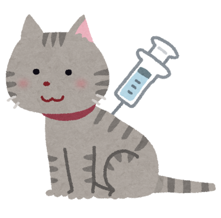 猫に注射している様子