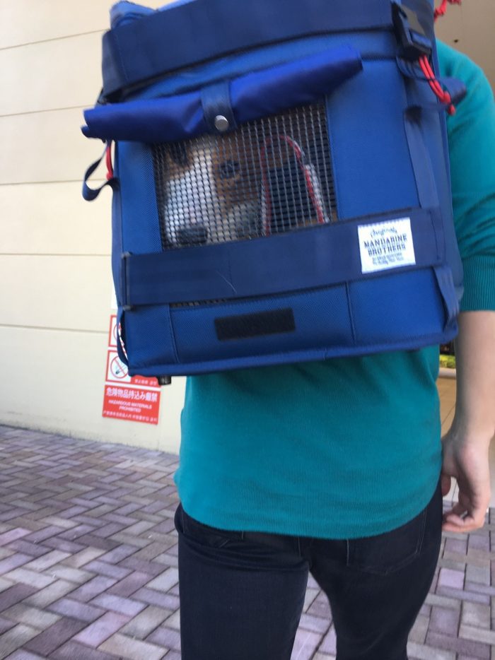 ケージリュックの中に入る犬