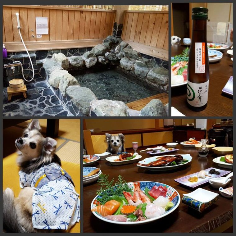 伊豆のペットと泊まれる宿の河津・花小町