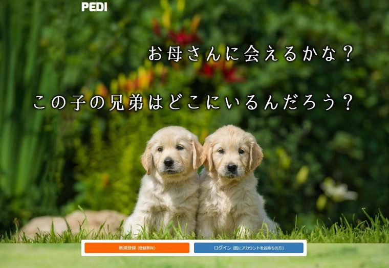 PEDIホームページ
