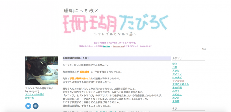 乳腺腫瘍のブログのトップページ