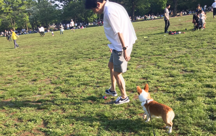 犬と公園で遊ぶ様子