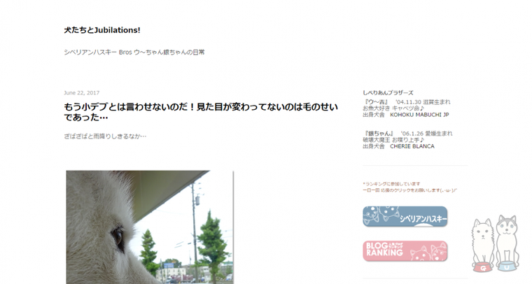 シベリアンハスキーのブログ