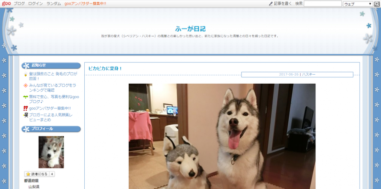 シベリアンハスキーのブログ