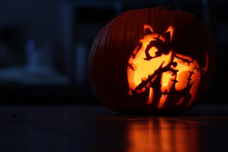犬とハロウィンを楽しめるイベントにあるかぼちゃ