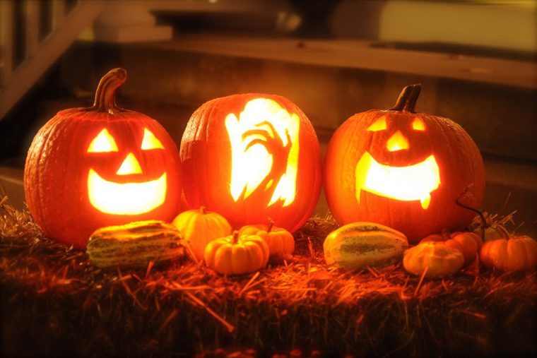 猫も楽しいハロウィンのかぼちゃ
