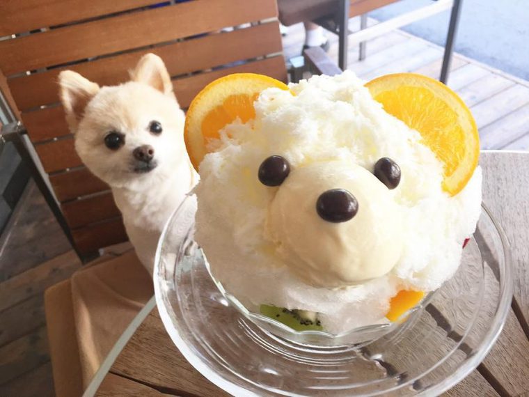 木と水と土と
