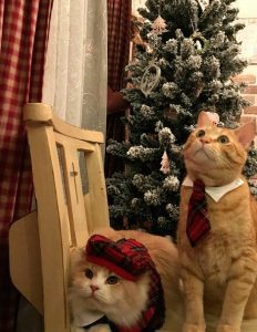 20171209-xmas-ym