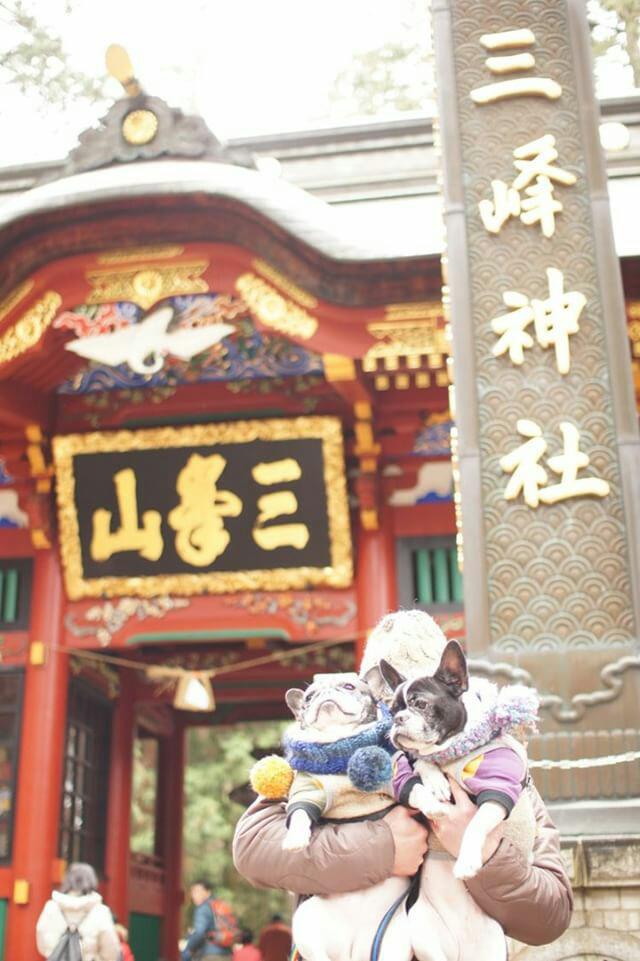 ペットと参拝できる神社の三峯神社