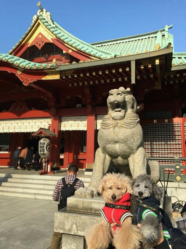 ペットと参拝できる神社の神田明神