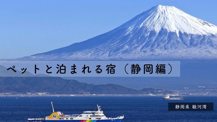 静岡のペットと泊まれる宿