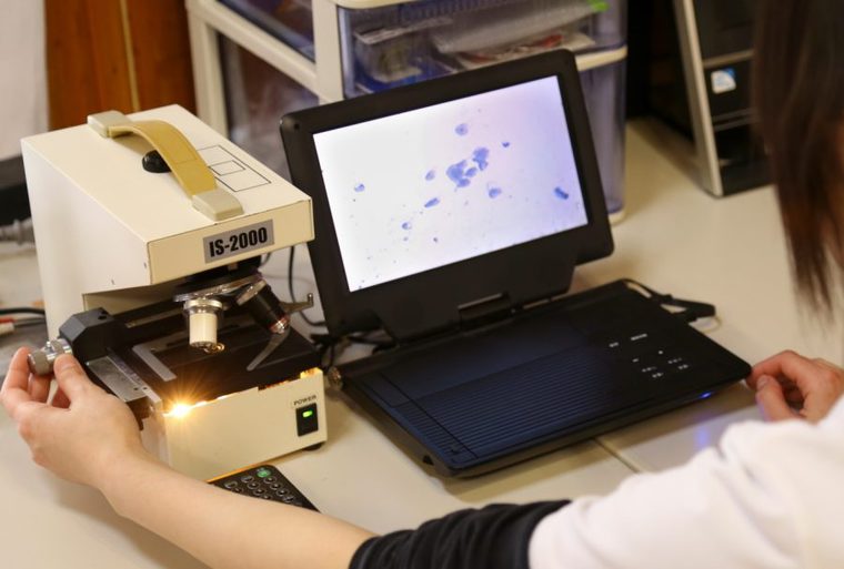 遺伝子検査の様子