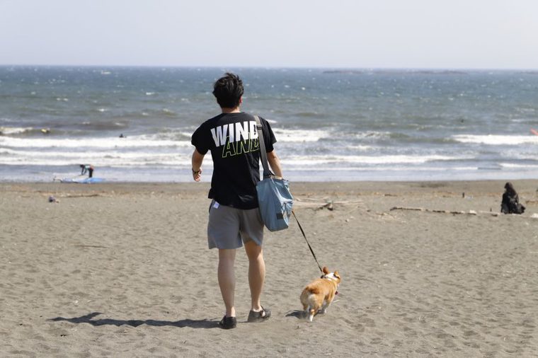 茅ヶ崎で海と犬
