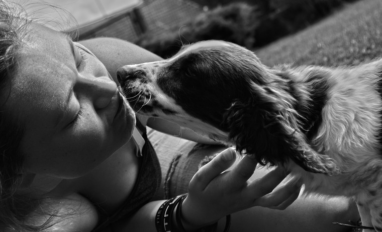 女性の顔を舐める犬