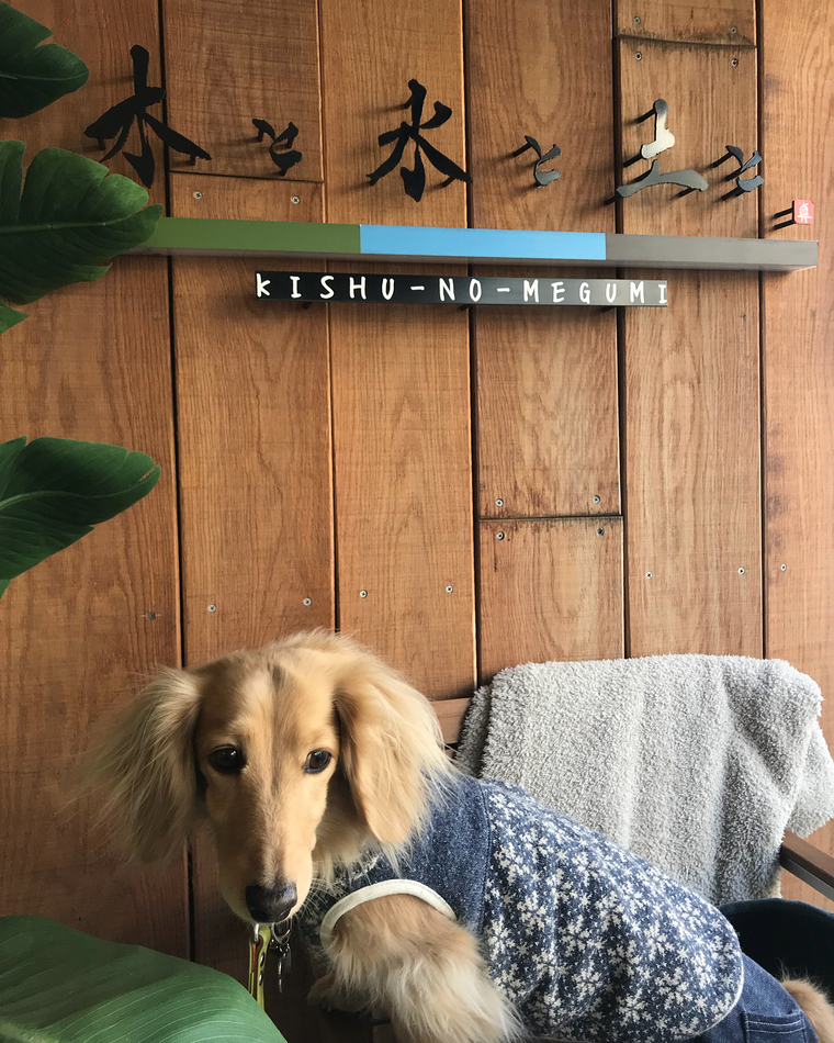 木と水と土と