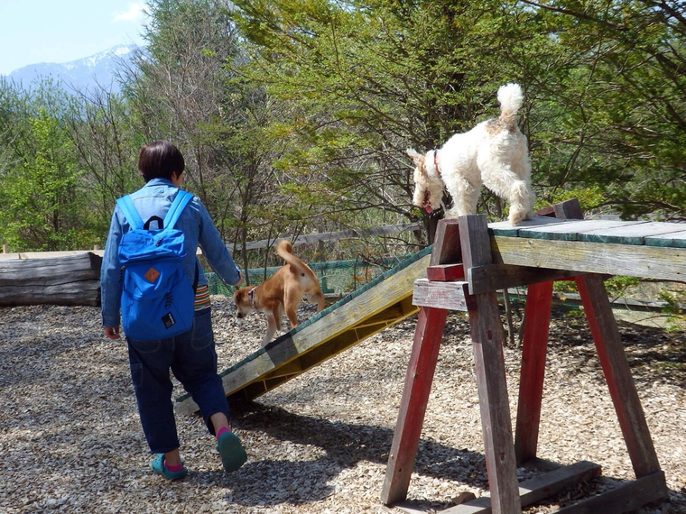 Sabine`s Dog Vacation