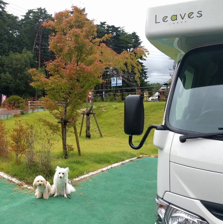 犬とキャンピングカー