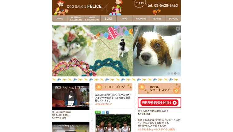 DOGSALON FELICE