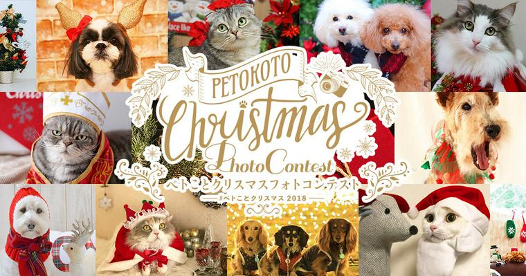 ペトことのクリスマスフォトコンテスト